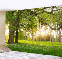 Sun-Kissed Glade: the Awakening Forest
